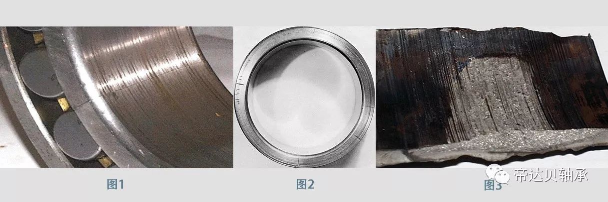 1567482537316561.jpg 微信圖片201901.jpg